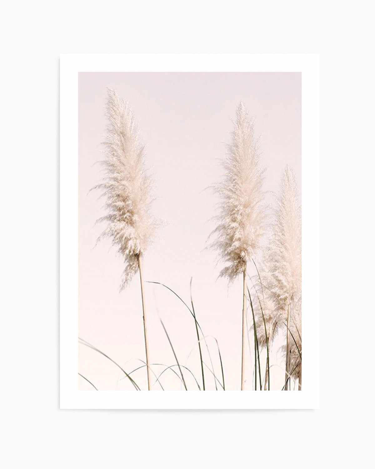 Nude Pampas II Art Print