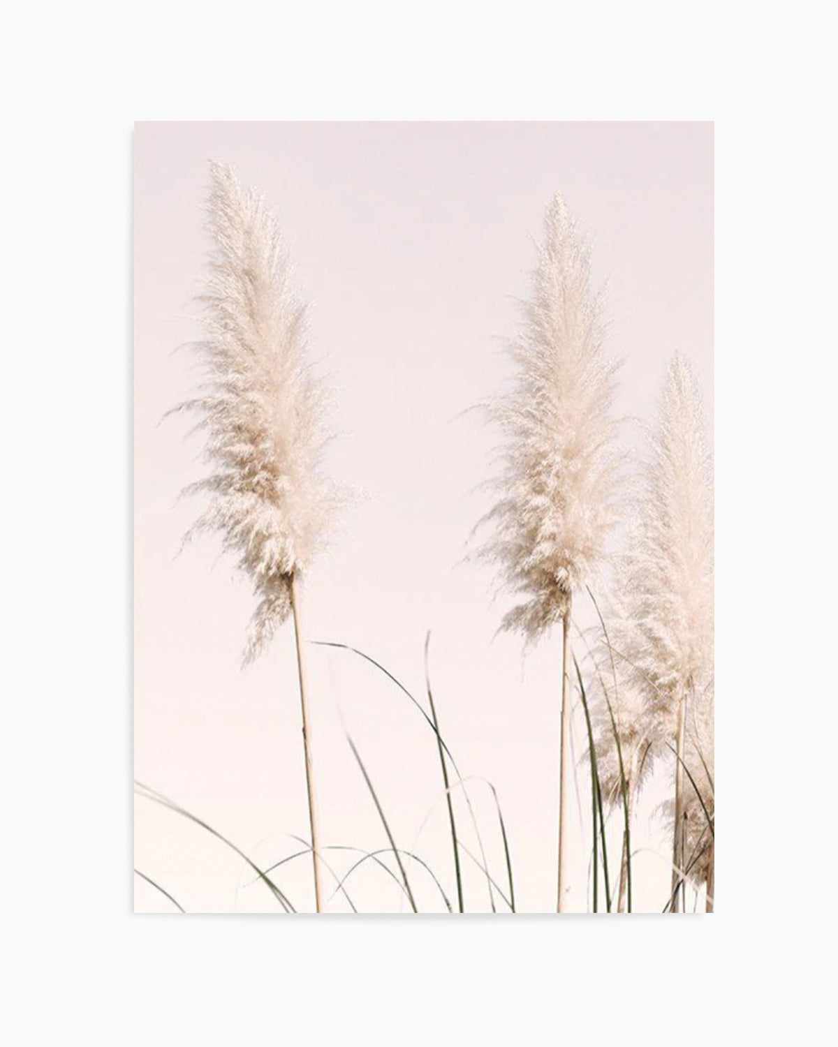 Nude Pampas II Art Print