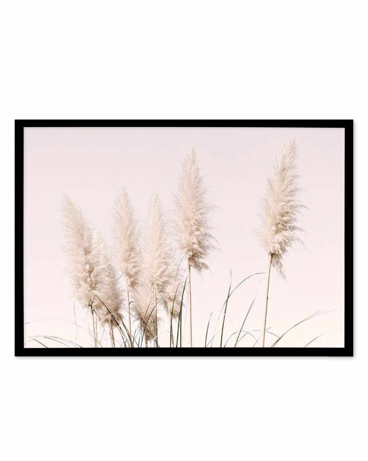 Nude Pampas | LS Art Print