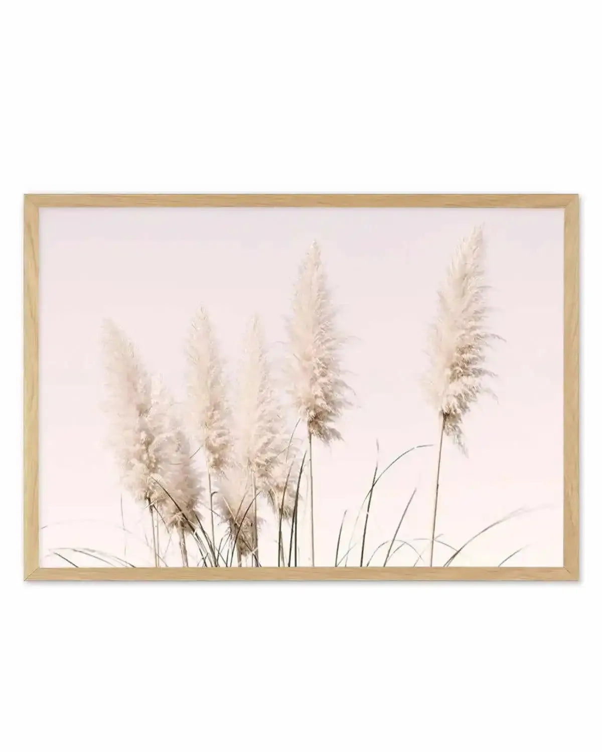 Nude Pampas | LS Art Print from Olive et Oriel where you can shop wallpaper and artworks online