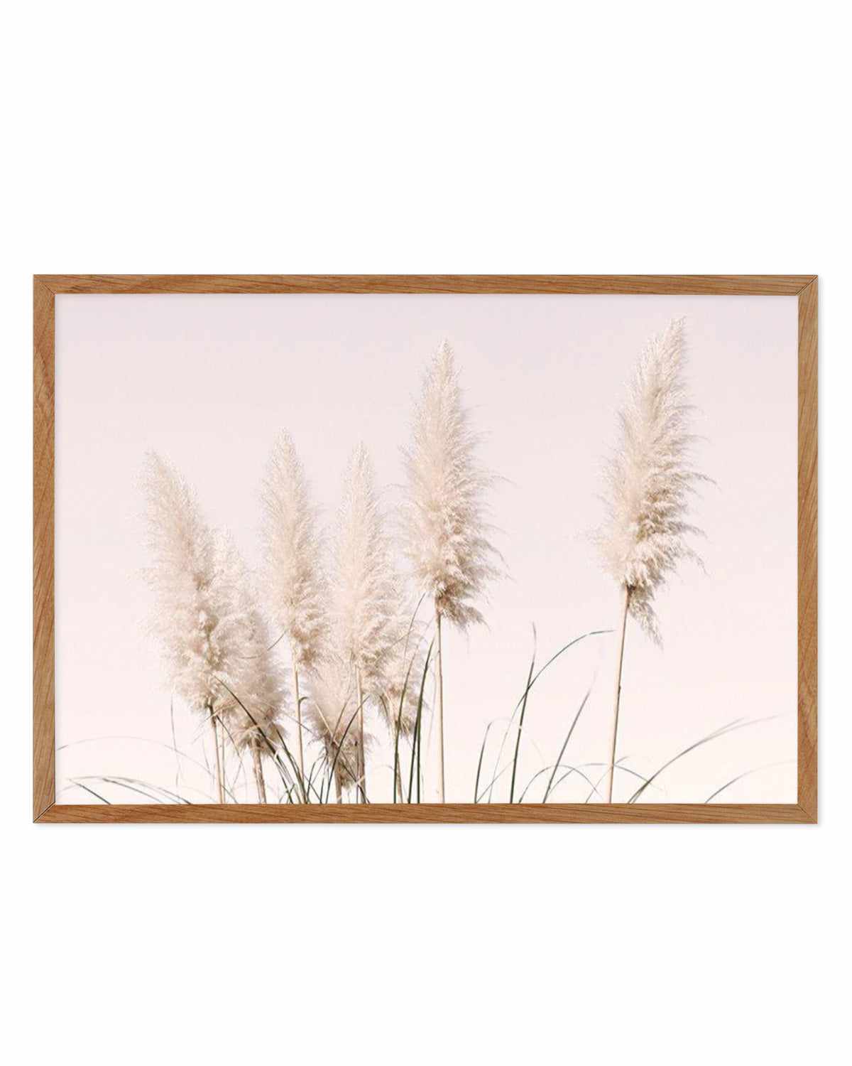 Nude Pampas | LS Art Print