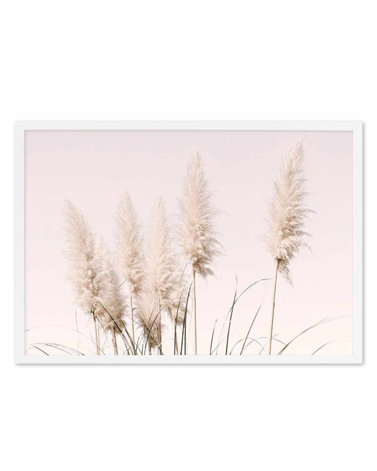 Nude Pampas | LS Art Print