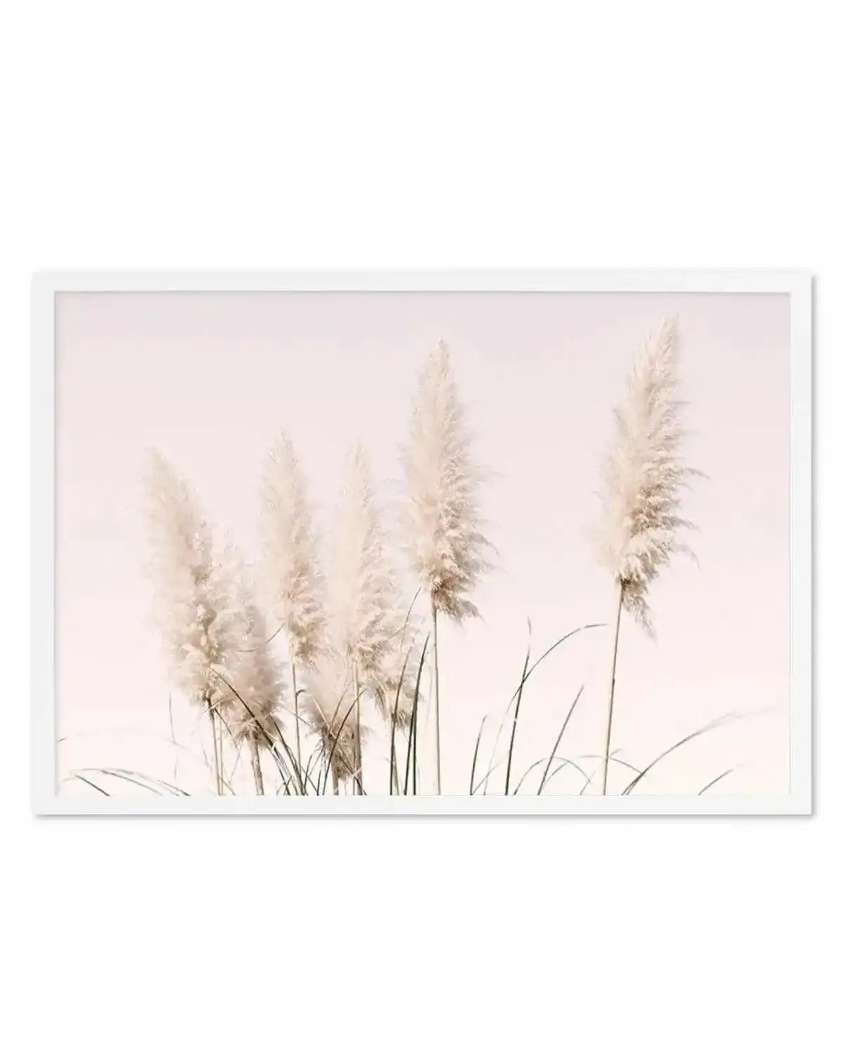 Nude Pampas | LS Art Print from Olive et Oriel where you can shop wallpaper and artworks online