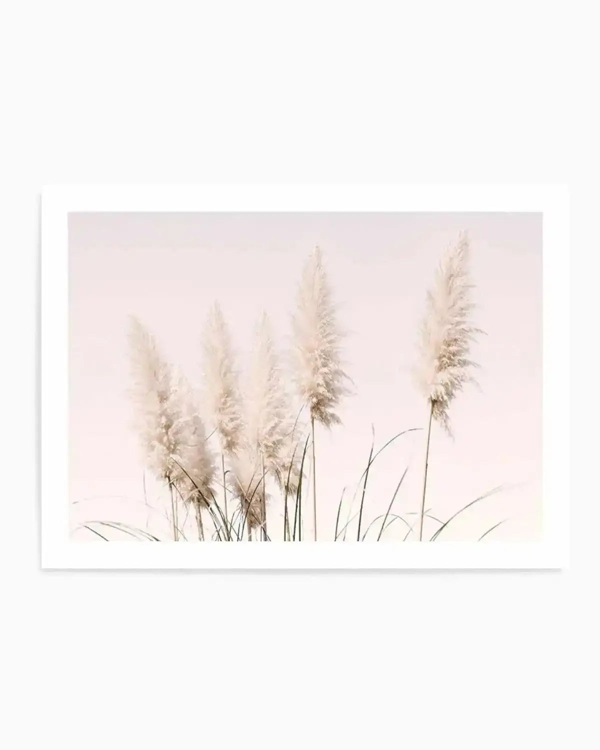 Nude Pampas | LS Art Print from Olive et Oriel where you can shop wallpaper and artworks online