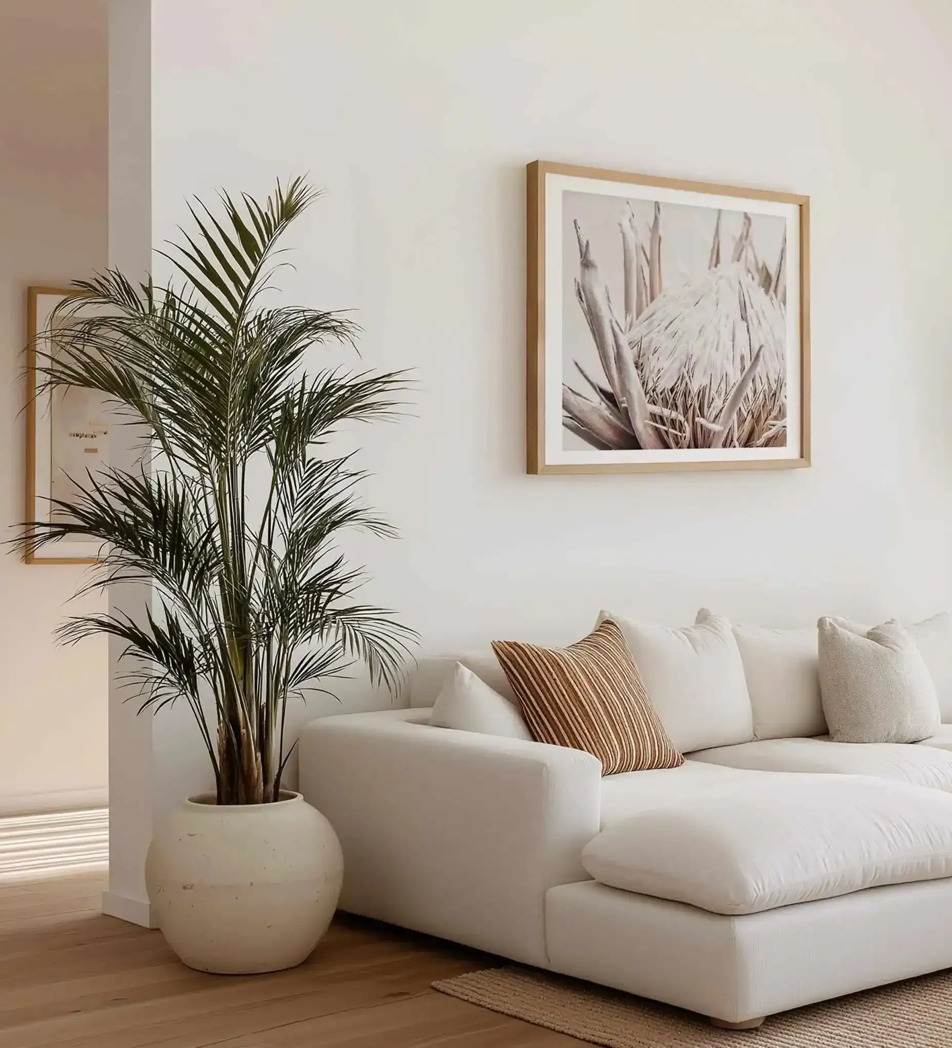 Nude Protea Square Art Print from Olive et Oriel where you can shop wallpaper and artworks online