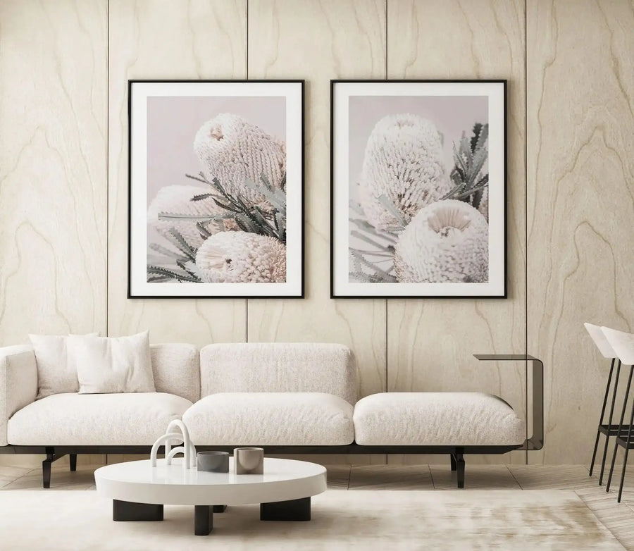 Lifestyle shot of two framed art prints displayed above a curved cream sofa in a minimalist living room. Each print features a close-up photograph of a fluffy, white Banksia flower with spiky grey-green leaves on a pale pink background, with a black frame and white border. The room includes a white round coffee table with modern decor and a light-coloured rug on a light wood floor.