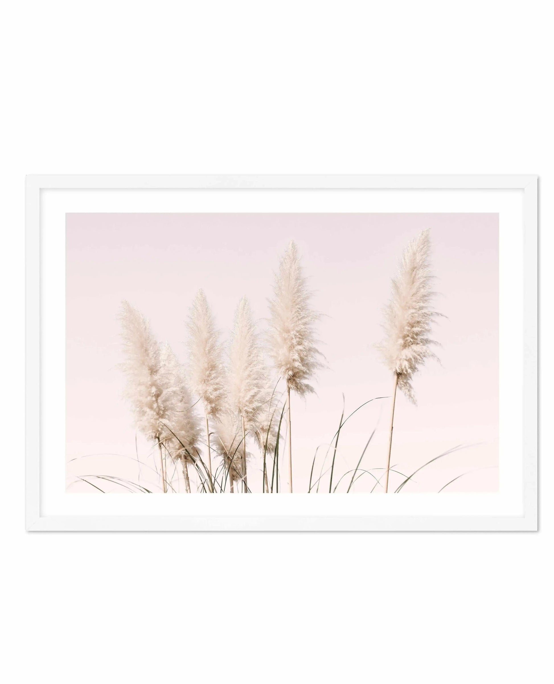 Nude Pampas | LS Art Print-PRINT-Olive et Oriel-Olive et Oriel-A4 | 8.3" x 11.7" | 21 x 29.7cm-White-With White Border-Buy-Australian-Art-Prints-Online-with-Olive-et-Oriel-Your-Artwork-Specialists-Austrailia-Decorate-With-Coastal-Photo-Wall-Art-Prints-From-Our-Beach-House-Artwork-Collection-Fine-Poster-and-Framed-Artwork