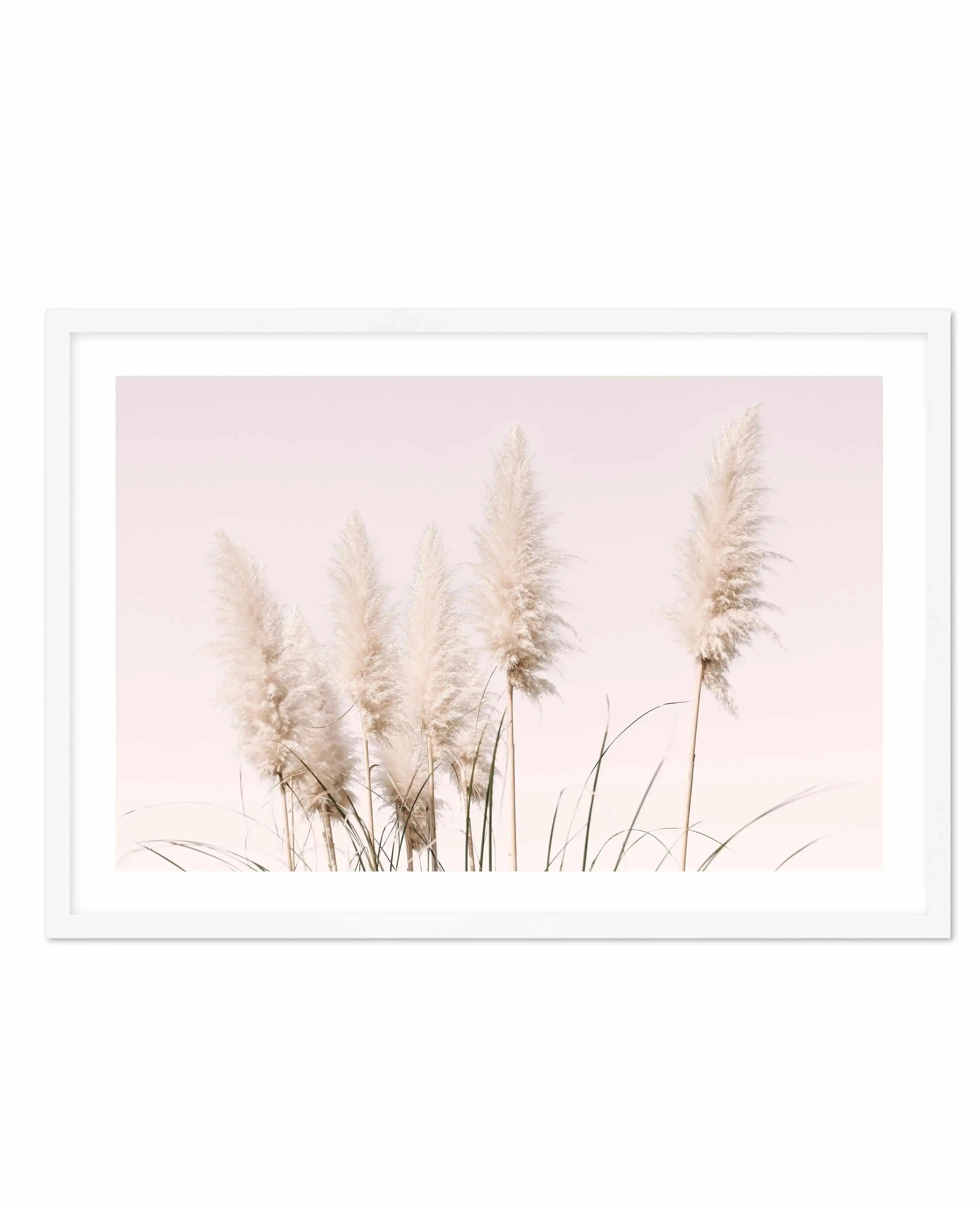 Nude Pampas | LS Art Print-PRINT-Olive et Oriel-Olive et Oriel-A4 | 8.3" x 11.7" | 21 x 29.7cm-White-With White Border-Buy-Australian-Art-Prints-Online-with-Olive-et-Oriel-Your-Artwork-Specialists-Austrailia-Decorate-With-Coastal-Photo-Wall-Art-Prints-From-Our-Beach-House-Artwork-Collection-Fine-Poster-and-Framed-Artwork
