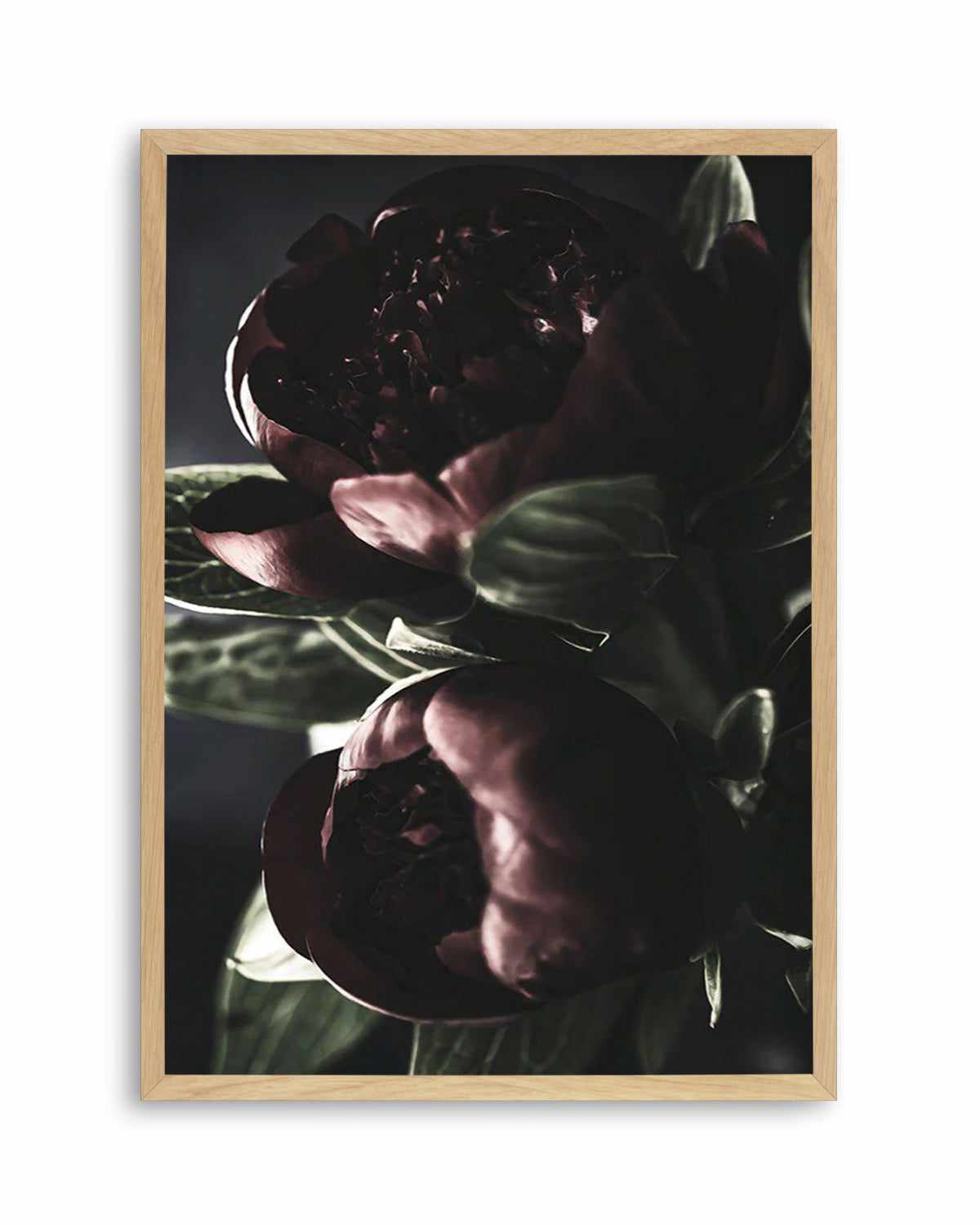 Nuit des Fleurs | Dark Peonies Art Print