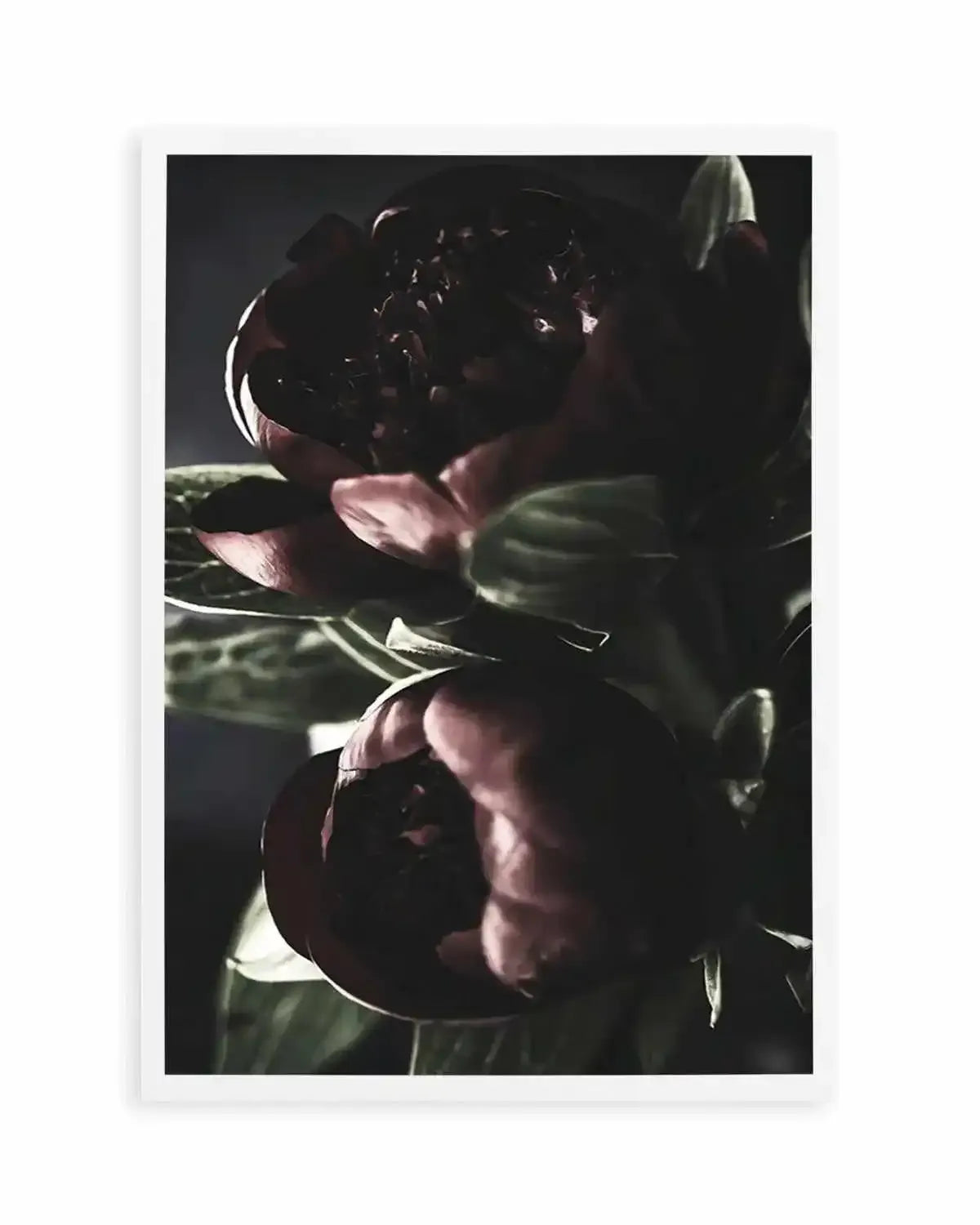 Nuit des Fleurs | Dark Peonies Art Print from Olive et Oriel where you can shop wallpaper and artworks online