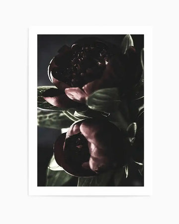 Nuit des Fleurs  Dark Peonies Art Print art print, framed