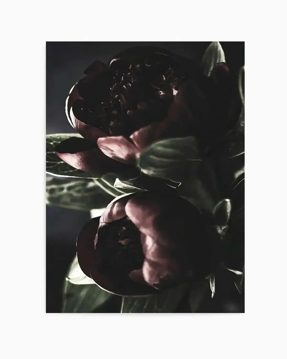 Nuit des Fleurs | Dark Peonies Art Print from Olive et Oriel where you can shop wallpaper and artworks online