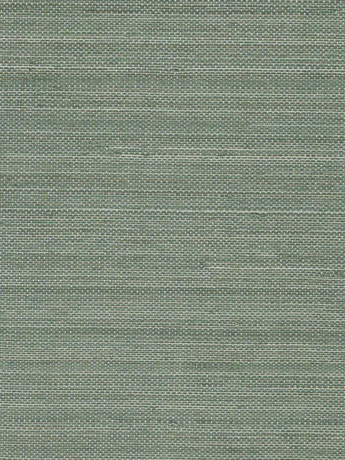 Sage Green Textured Abaca Wallpaper — 3:4 close-up of woven texture