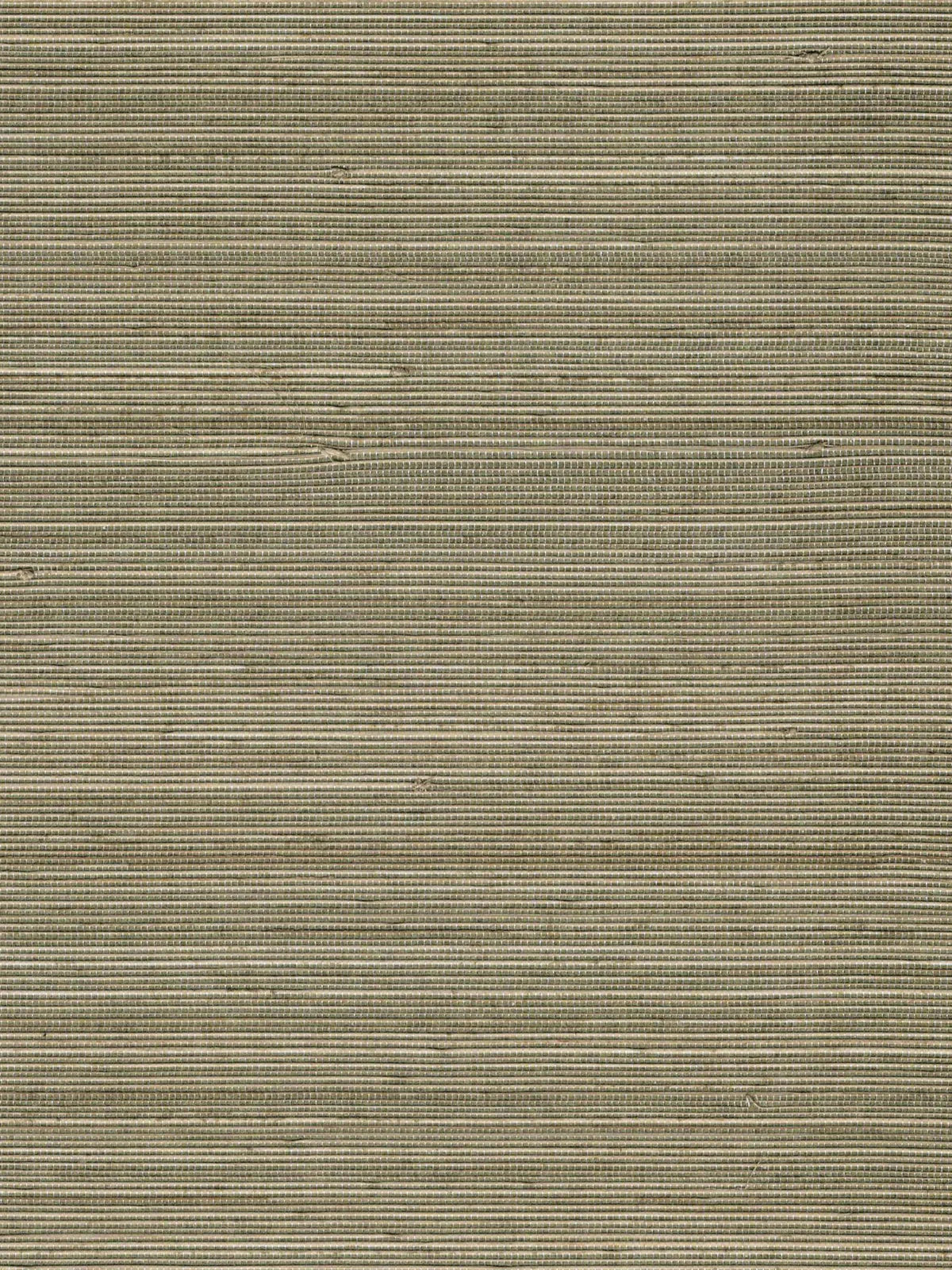 Olive Brown Fine Weave Abaca Wallpaper — 3:4 close-up of woven texture