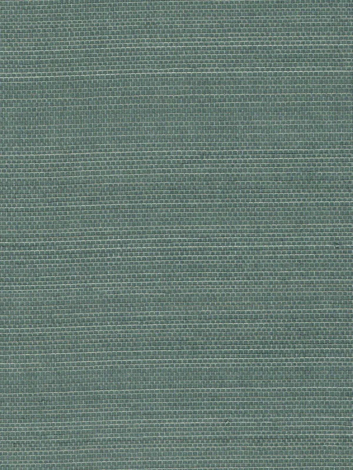 Dusty Forest Green Textured Abaca Wallpaper — 3:4 close-up of woven texture