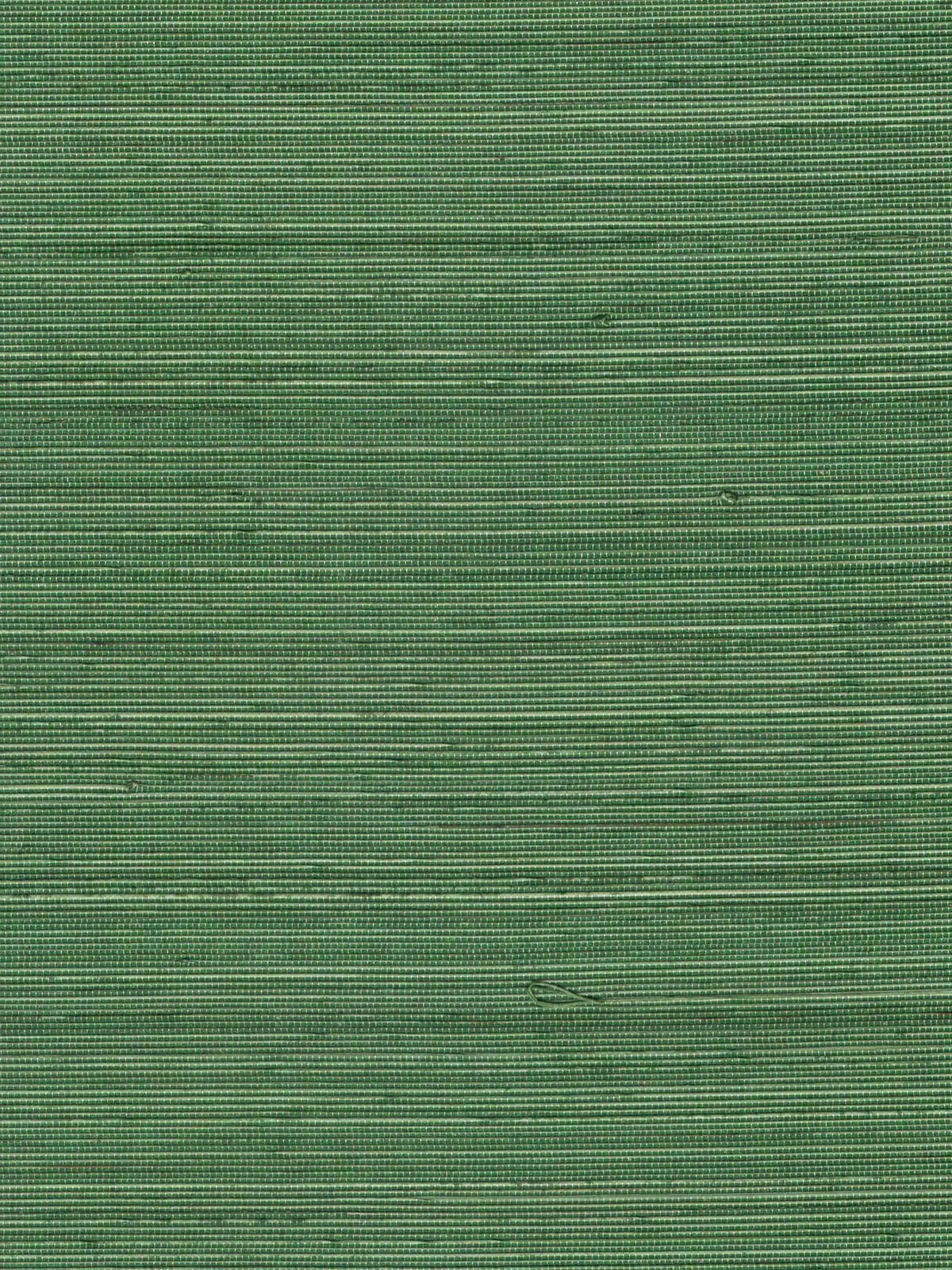 Forest Green Fine Weave Abaca Wallpaper — 3:4 close-up of woven texture