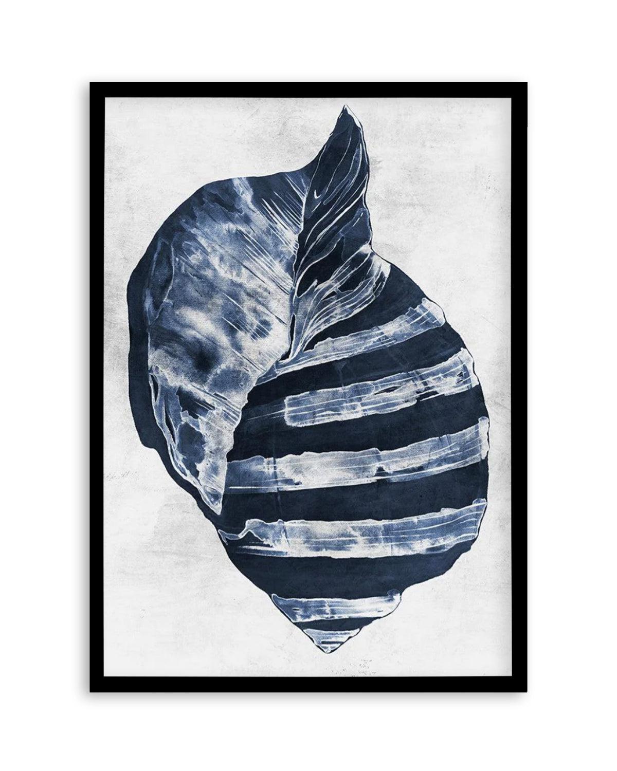 Ocean Seashell II Art Print