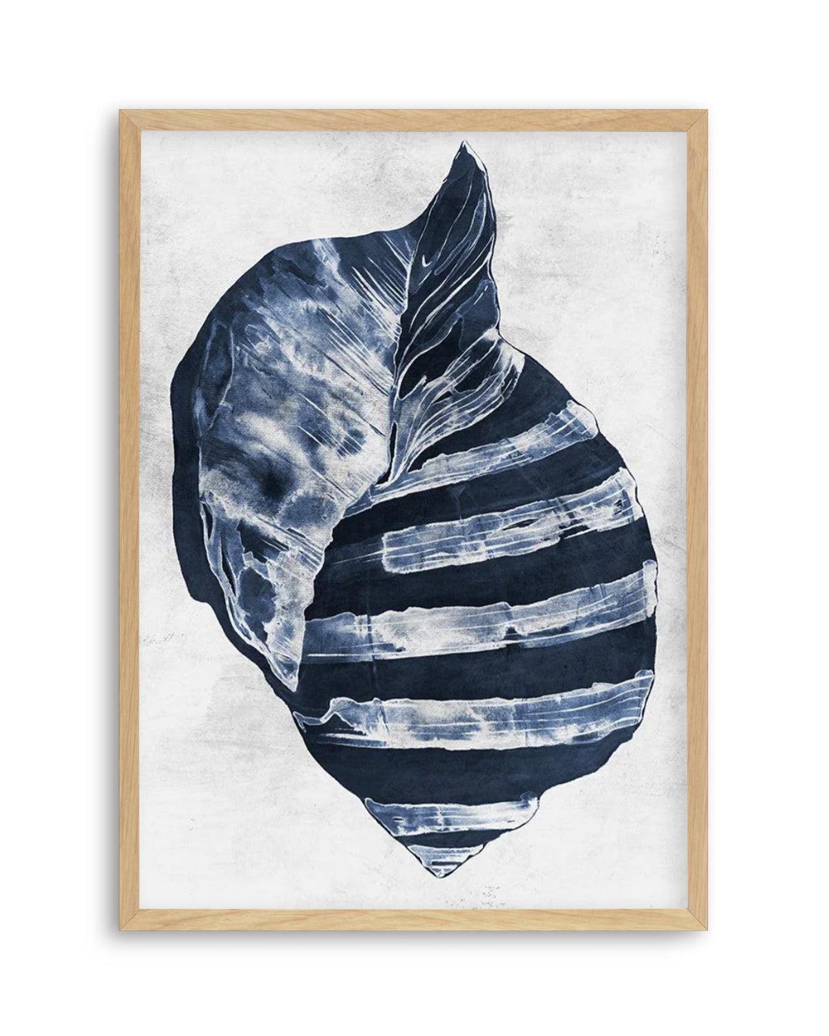 Ocean Seashell II Art Print