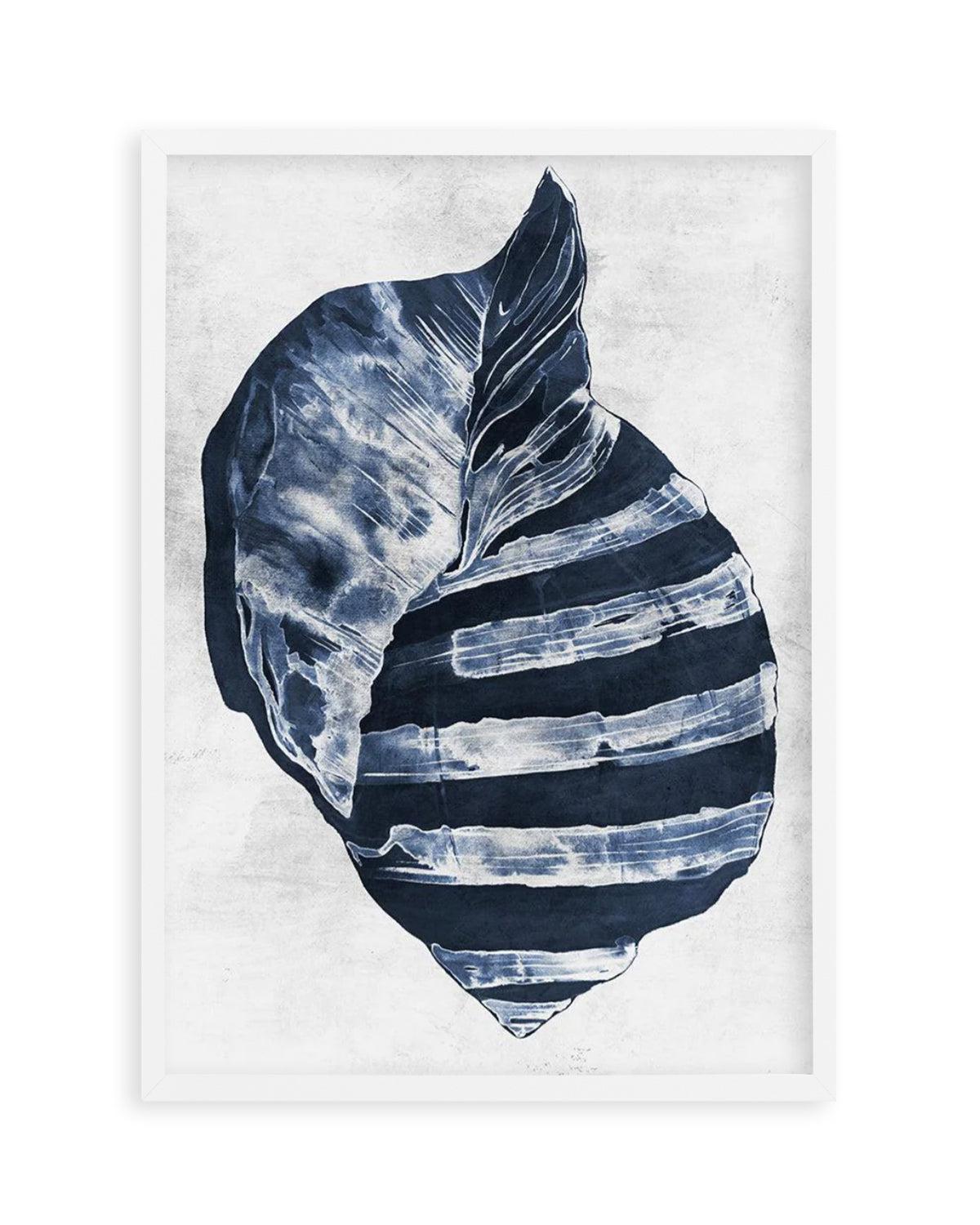 Ocean Seashell II Art Print