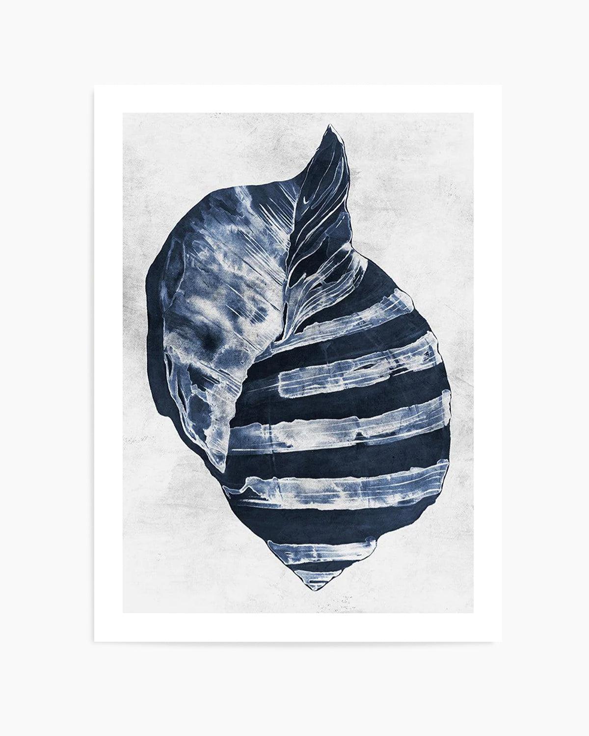 Ocean Seashell II Art Print