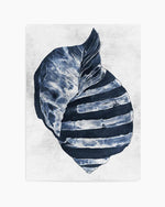 Ocean Seashell II Art Print