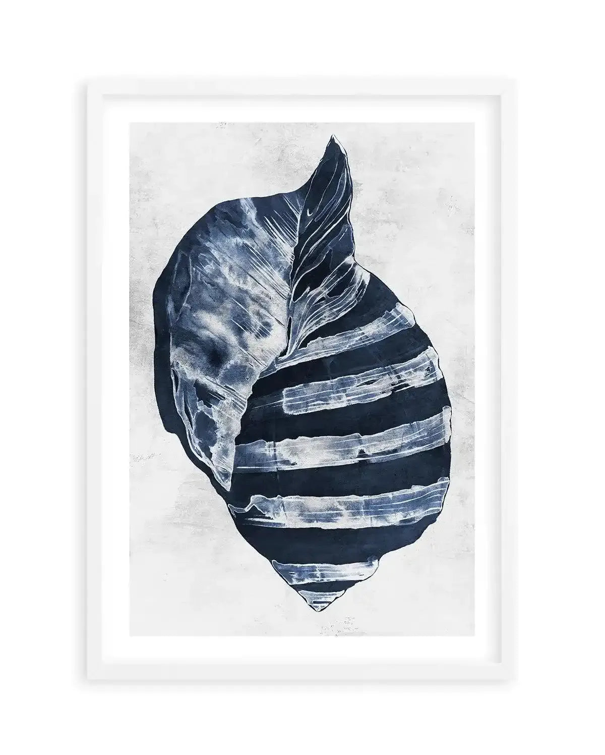 Ocean Seashell II Art Print-PRINT-Olive et Oriel-Olive et Oriel-A5 | 5.8" x 8.3" | 14.8 x 21cm-White-With White Border-Buy-Australian-Art-Prints-Online-with-Olive-et-Oriel-Your-Artwork-Specialists-Austrailia-Decorate-With-Coastal-Photo-Wall-Art-Prints-From-Our-Beach-House-Artwork-Collection-Fine-Poster-and-Framed-Artwork