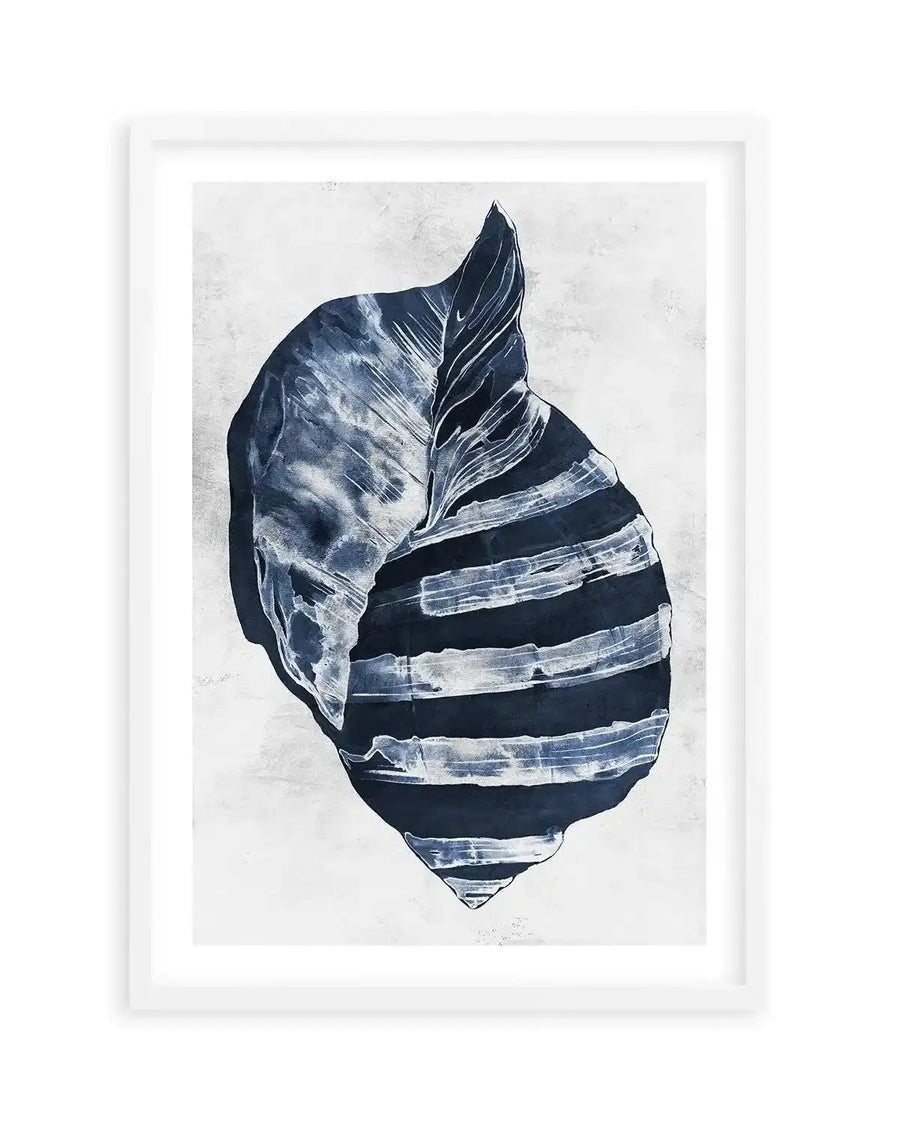 Ocean Seashell II Art Print-PRINT-Olive et Oriel-Olive et Oriel-A5 | 5.8" x 8.3" | 14.8 x 21cm-White-With White Border-Buy-Australian-Art-Prints-Online-with-Olive-et-Oriel-Your-Artwork-Specialists-Austrailia-Decorate-With-Coastal-Photo-Wall-Art-Prints-From-Our-Beach-House-Artwork-Collection-Fine-Poster-and-Framed-Artwork