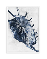 Ocean Seashell III Art Print