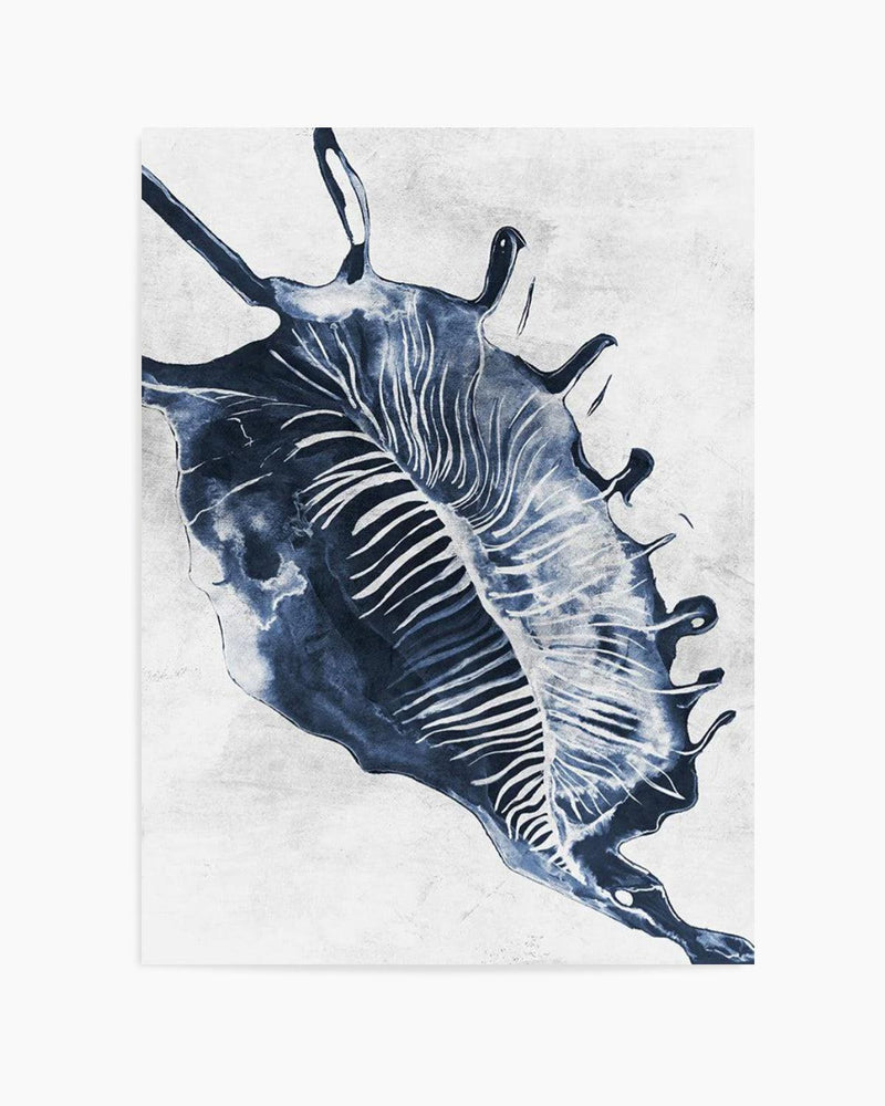 Ocean Seashell III Art Print