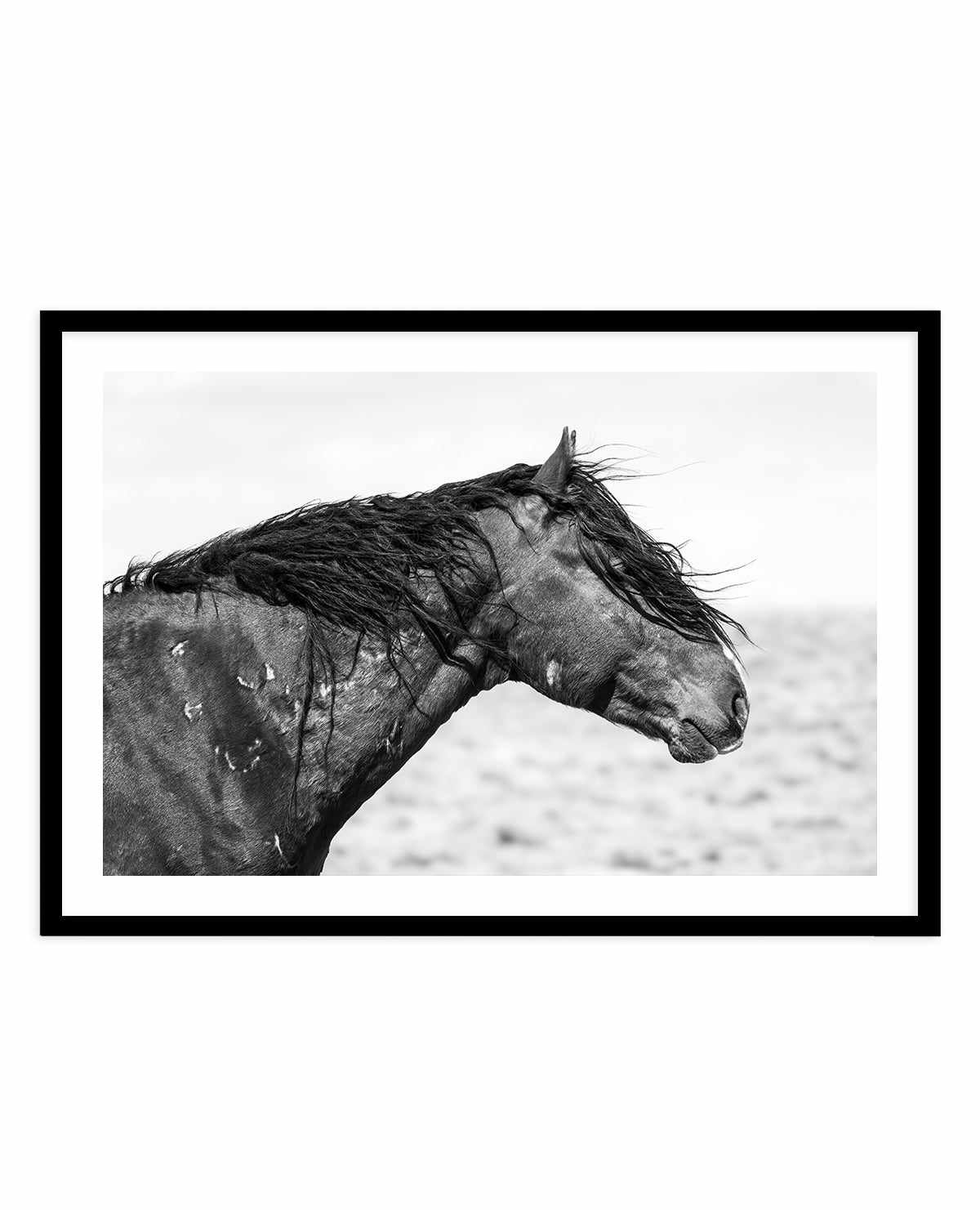 Ol Curly by Rylee Olsen | Art Print from Olive et Oriel where you can shop wallpaper and artworks online