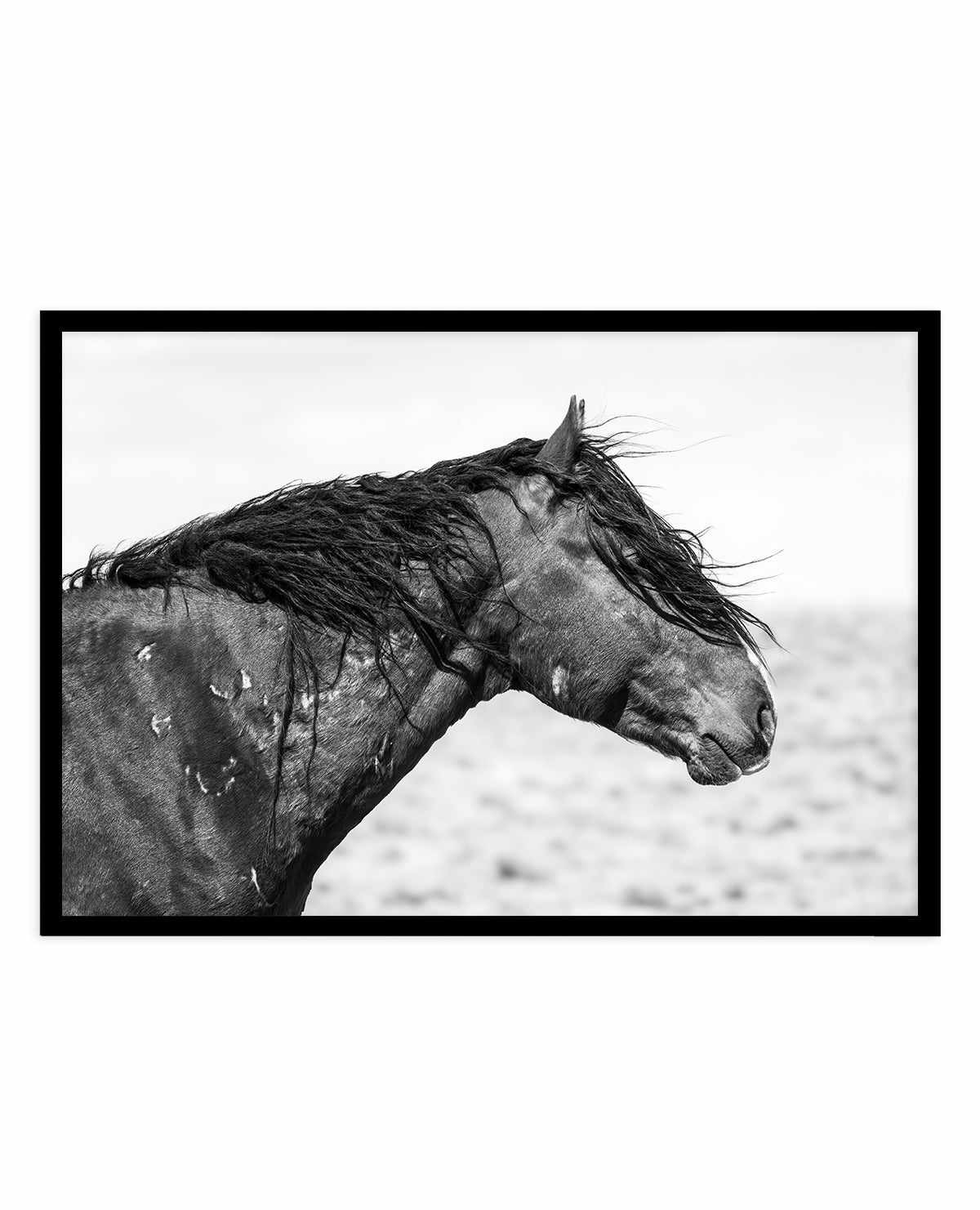 Ol Curly by Rylee Olsen | Art Print from Olive et Oriel where you can shop wallpaper and artworks online