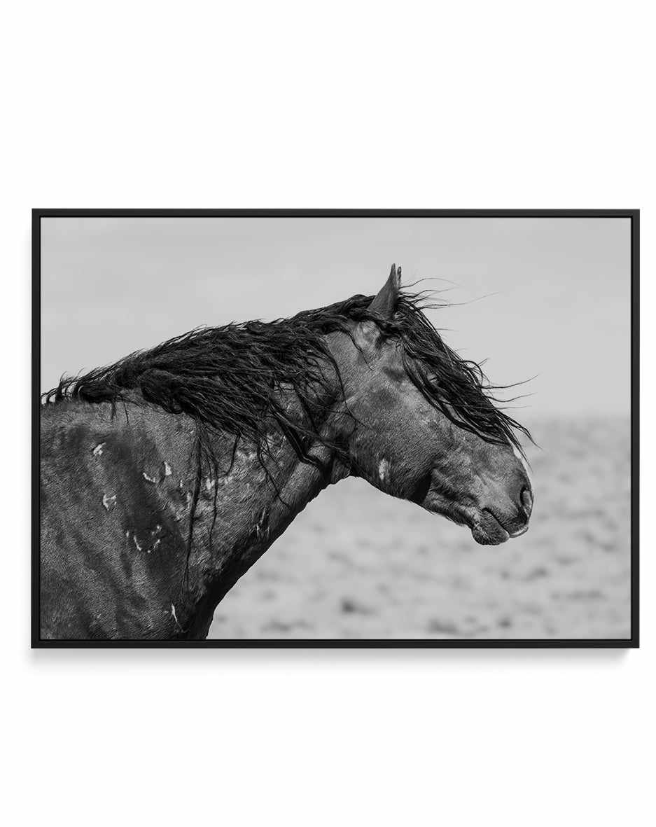 Ol Curly by Rylee Olsen | Framed Canvas Art Print from Olive et Oriel where you can shop wallpaper and artworks online