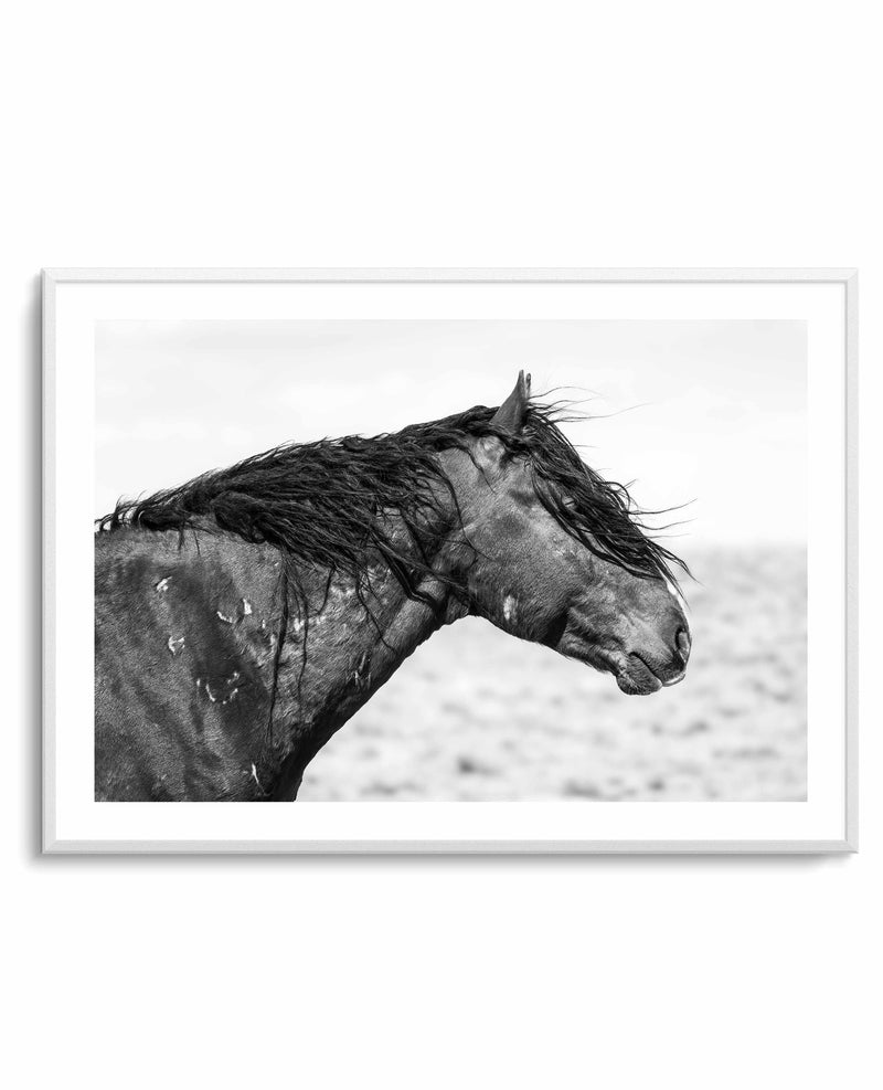 Ol Curly by Rylee Olsen | Art Print from Olive et Oriel where you can shop wallpaper and artworks online