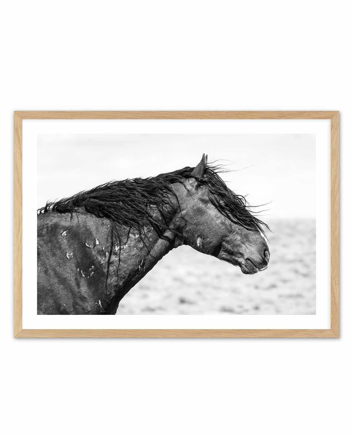 Ol Curly by Rylee Olsen | Art Print from Olive et Oriel where you can shop wallpaper and artworks online