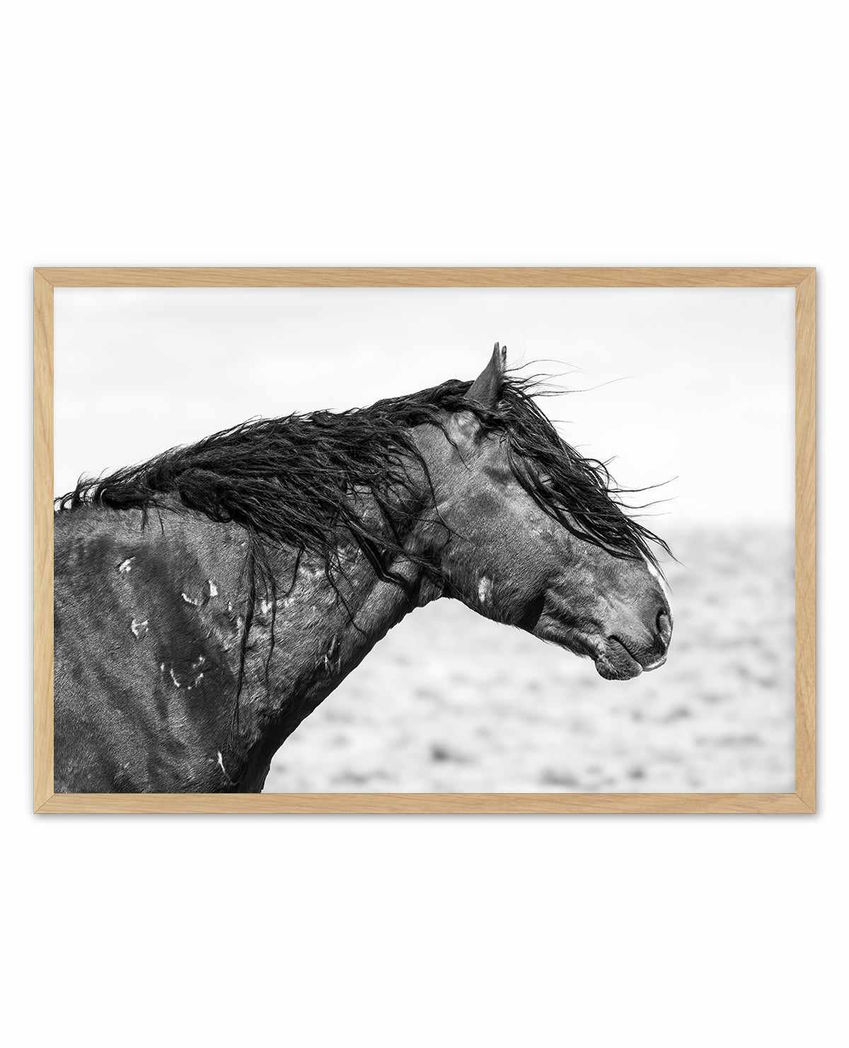 Ol Curly by Rylee Olsen | Art Print from Olive et Oriel where you can shop wallpaper and artworks online