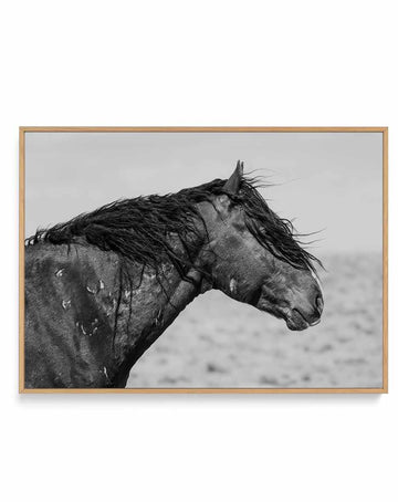 Ol Curly by Rylee Olsen | Framed Canvas Art Print from Olive et Oriel where you can shop wallpaper and artworks online