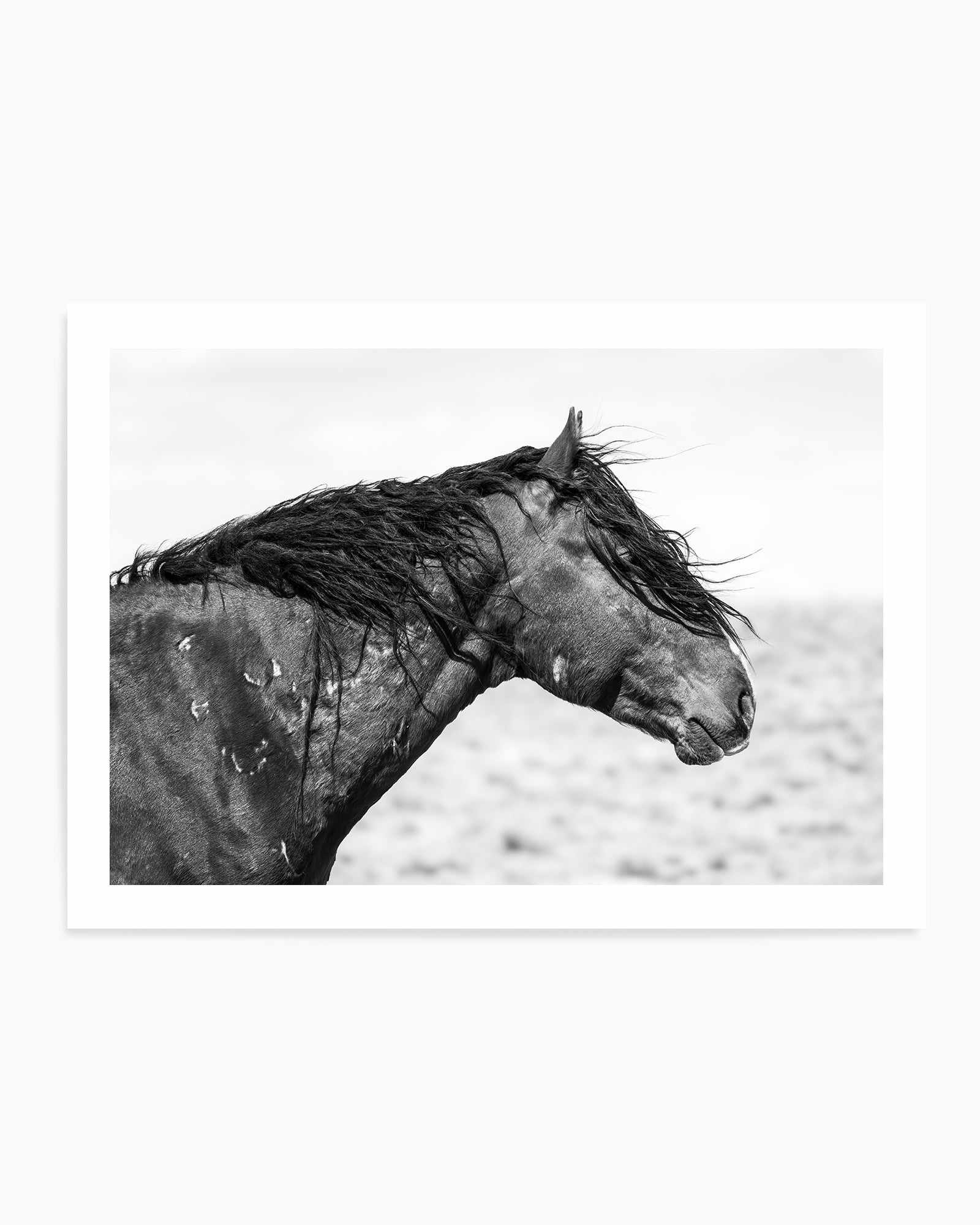 Ol Curly by Rylee Olsen | Art Print from Olive et Oriel where you can shop wallpaper and artworks online