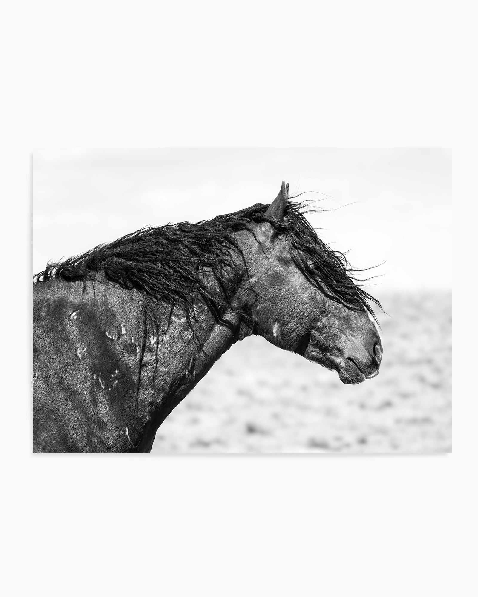 Ol Curly by Rylee Olsen | Art Print from Olive et Oriel where you can shop wallpaper and artworks online