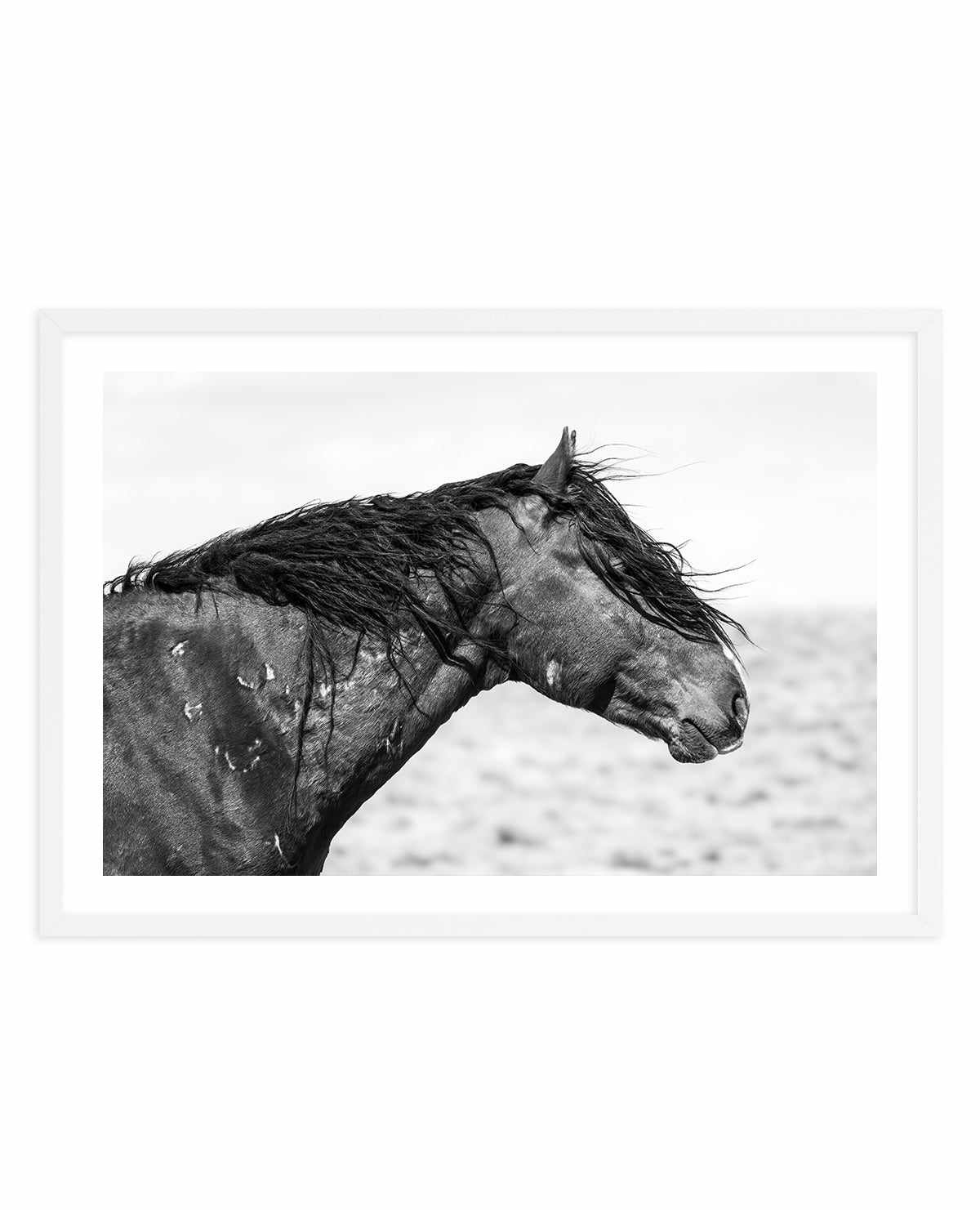 Ol Curly by Rylee Olsen | Art Print from Olive et Oriel where you can shop wallpaper and artworks online