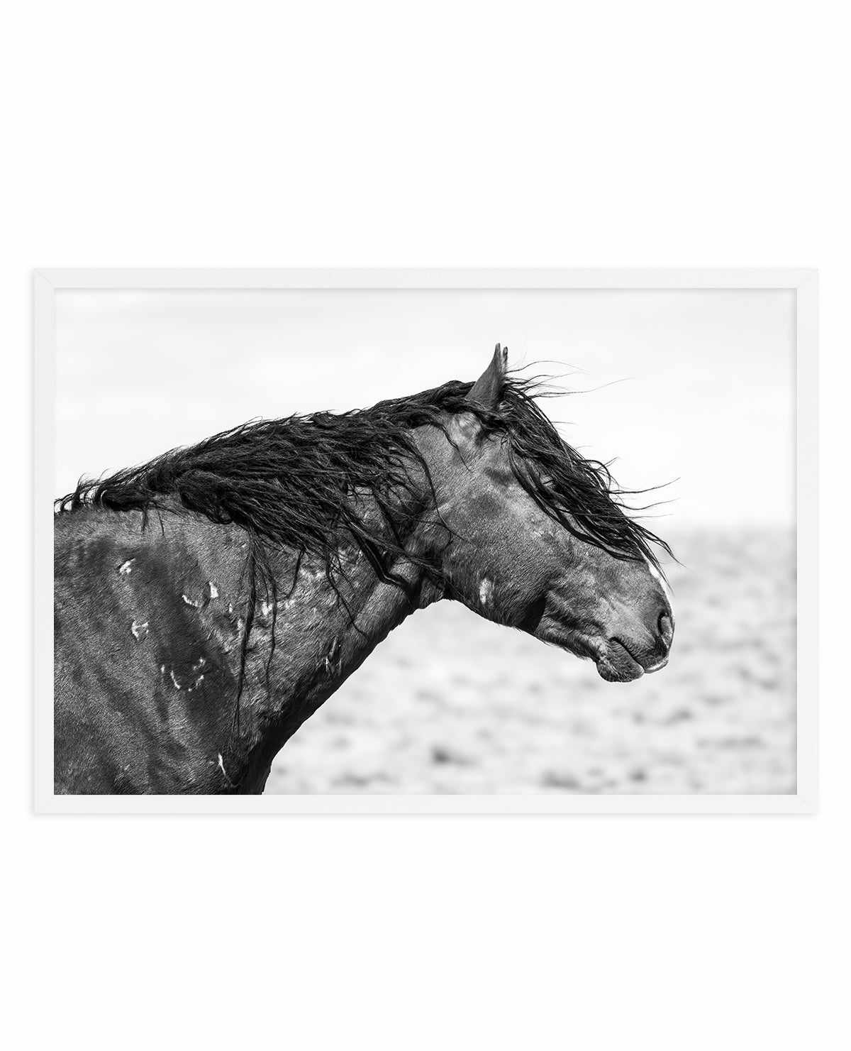 Ol Curly by Rylee Olsen | Art Print from Olive et Oriel where you can shop wallpaper and artworks online