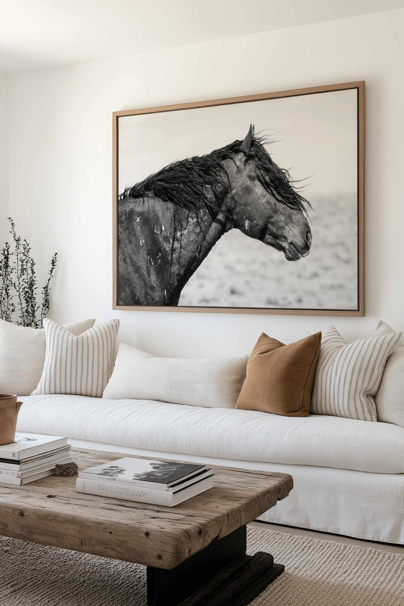 Ol Curly by Rylee Olsen | Framed Canvas Art Print from Olive et Oriel where you can shop wallpaper and artworks online