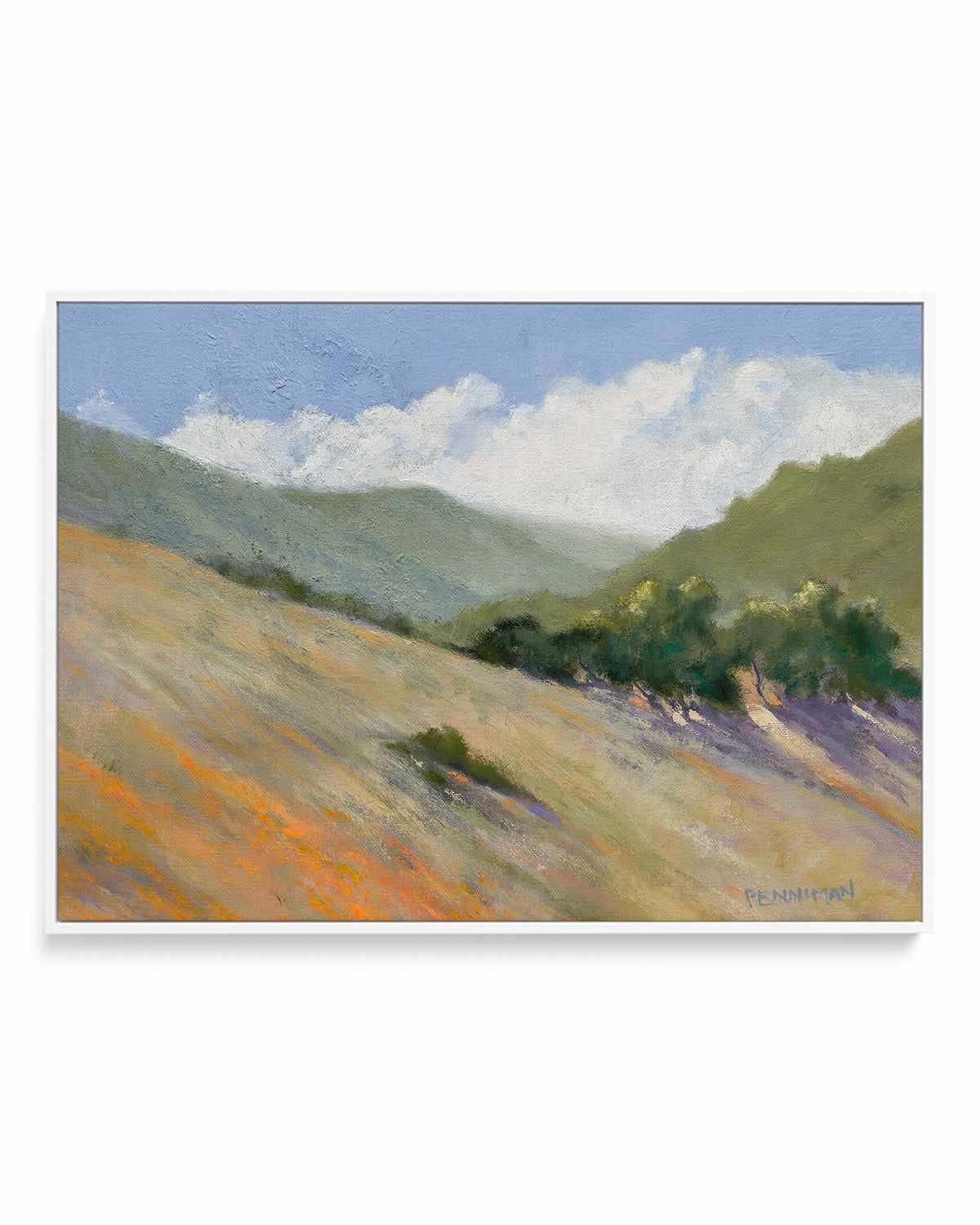 Old Toll Road, Calistoga by Ed Penniman | Framed Canvas Art Print