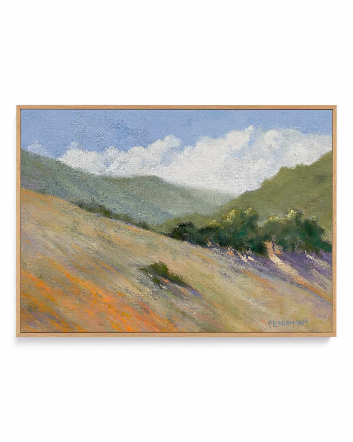 Old Toll Road, Calistoga by Ed Penniman | Framed Canvas Art Print