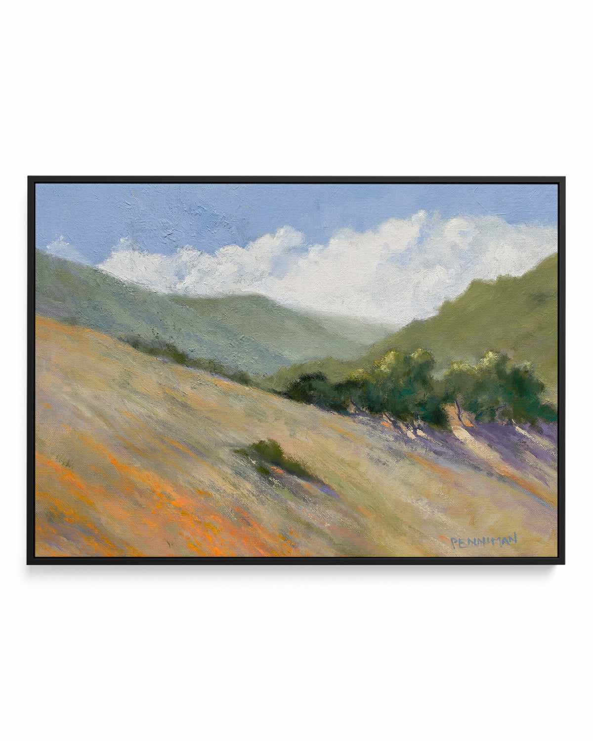 Old Toll Road, Calistoga by Ed Penniman | Framed Canvas Art Print