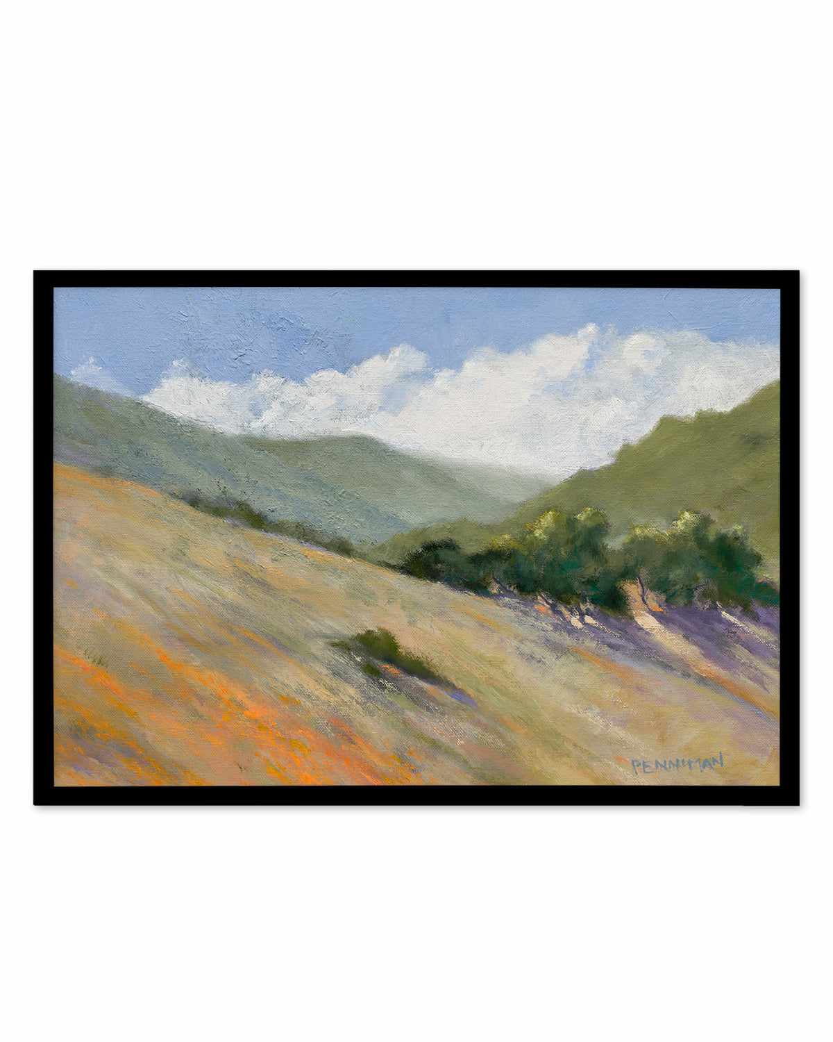 Old Toll Road, Calistoga by Ed Penniman Art Print