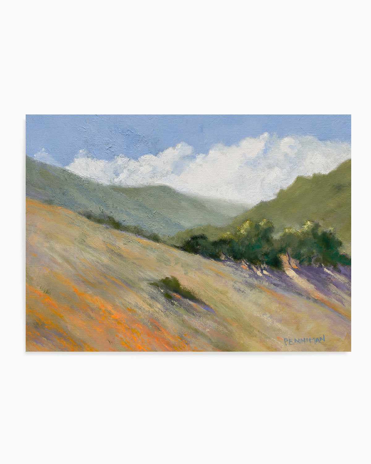 Old Toll Road, Calistoga by Ed Penniman Art Print