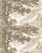 Old Oak Tree in Neutral Wallpaper