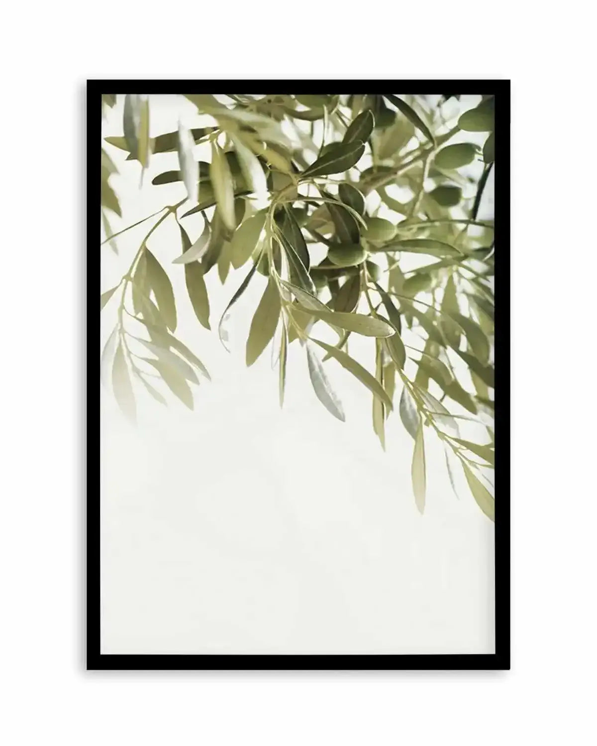 Olive Garden I Art Print from Olive et Oriel where you can shop wallpaper and artworks online