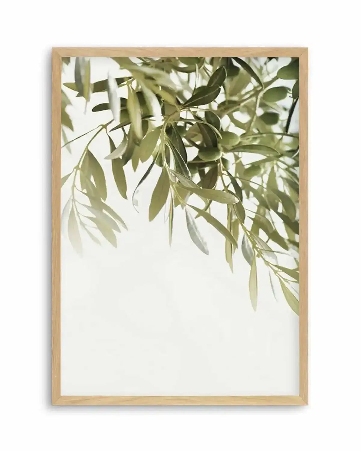 Olive Garden I Art Print from Olive et Oriel where you can shop wallpaper and artworks online