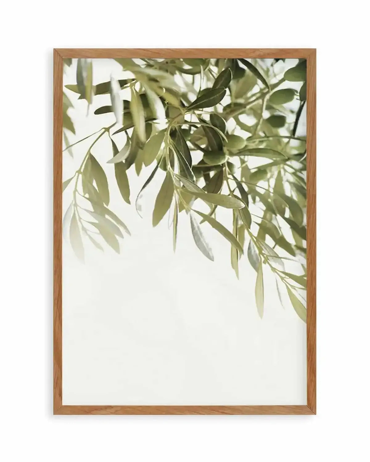 Olive Garden I Art Print from Olive et Oriel where you can shop wallpaper and artworks online